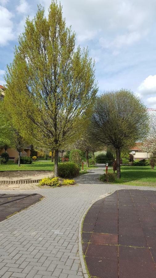 Apartment Liget Apartment, Terrace, Free Parking, Ac *